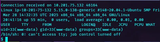 WWW-Data Shell