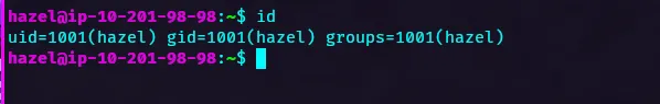 Hazel Access
